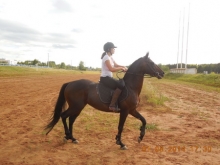 На ипподроме в Набережных Челнах прошли рысистые бега, скачки и конкур